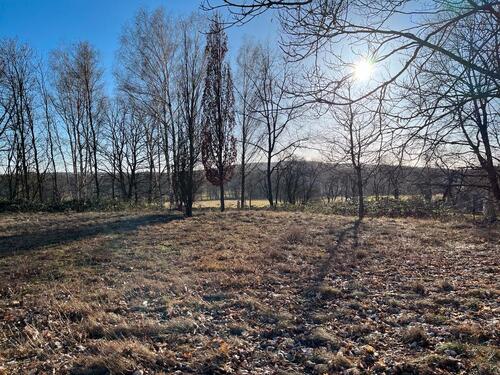 Foto - 1054qm Bauland Grundstück Guben erschlossen Provisionsfrei Privat