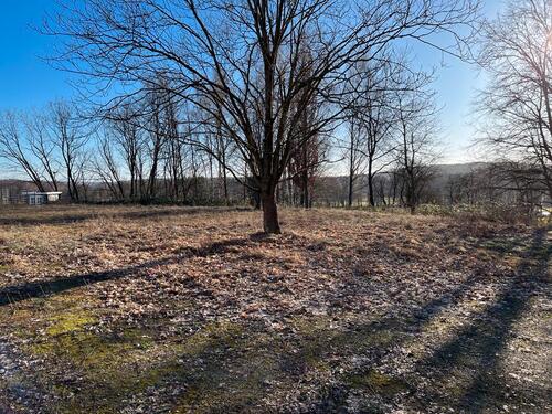Foto - Grundst&uuml;ck in Guben