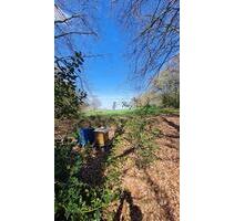 Standplätze für Imker am Wald-Wiesenrand in Sprockhövel