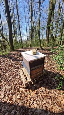 Foto - Grundstück zur Miete in Sprockhövel