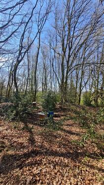 Foto - Grundstück in Sprockhövel