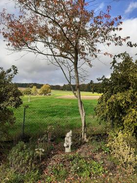 Foto - Einfamilienhaus in Marktheidenfeld zum Kaufen