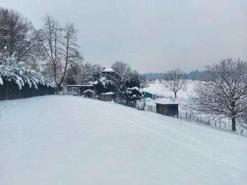 Foto - Einfamilienhaus zum Kaufen in Windeck