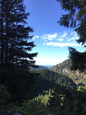 Foto - 6 Zimmer Einfamilienhaus in Pürgen