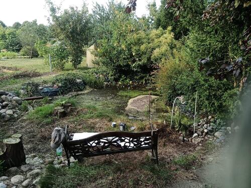 Foto - Schrebergarten Hans Saß - 2.500,00&nbsp;EUR Kaltmiete, ca.&nbsp; 0,00&nbsp;m&sup2;