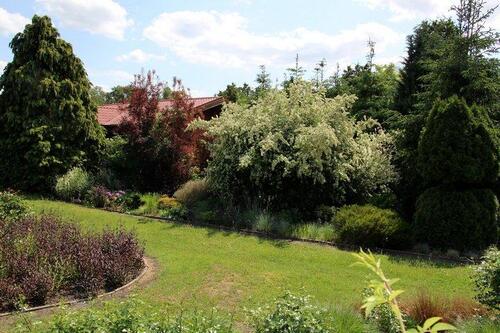 Foto - Einfamilienhaus in Arendsee (Altmark) zum Kaufen