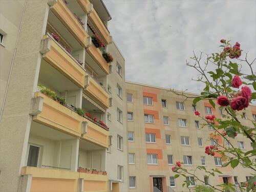 Foto - Funktionale 3Raumwohnung am Stadtpark, mit Einbauküche.