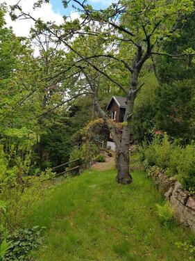 Foto - Naturrefugium am Wald – 880 m² Erholung & Freiheit