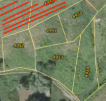 Weinberg in Bühl-Bensen (Lage Wolfhag) – Kapitalanlage