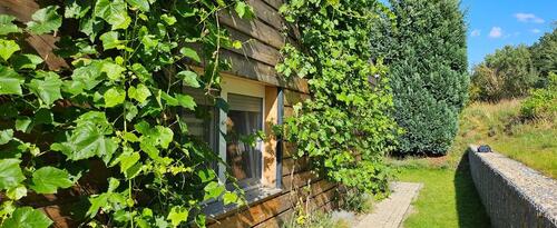 Foto - Einfamilienhaus in Malschwitz zum Kaufen