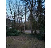 Grundstück mit Apartmenthaus am Tankumsee (ca. 600m²) - Isenbüttel