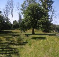 Baugrundstück 1760qm in Neustadt an der Donau, Ortsteil Wöhr