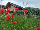 Foto - Naturstammhaus Baujahr 2021 - 980,00 EUR Kaltmiete,