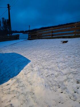 Foto - Einfamilienhaus in Bad Berleburg zum Kaufen