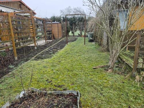 Foto - Grundst&uuml;ck zur Miete in Magdeburg