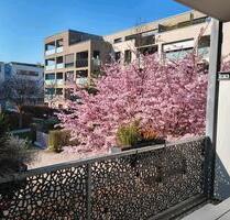 Neuwertige,hochwertige 4 Zimmer Wohnung in Esslingen zu verkaufen - Esslingen am Neckar Pliensauvorstadt