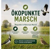 Ökopunkte Marsch (S-H, D21) | Ausgleichsfläche | Wiesenvögel - Heide