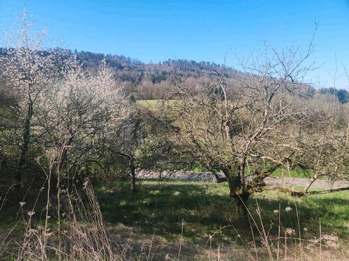 Foto - Grundstück in Oberstenfeld
