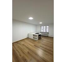 Gewerbe & Bürofläche in herrschaftlichem Ambiente - Weilburg