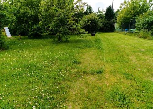 Foto - Grundst&uuml;ck zur Miete in Eisleben (Lutherstadt)