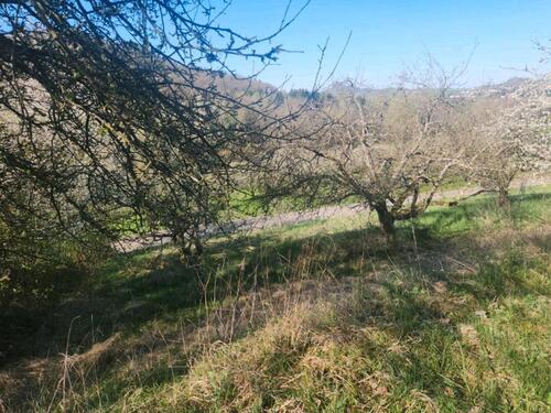 Foto - Grundstück, Garten vermietet - 120,00 EUR Kaltmiete, ca.  0,00 m²