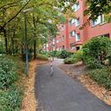 Foto - Etagenwohnung in Bremen