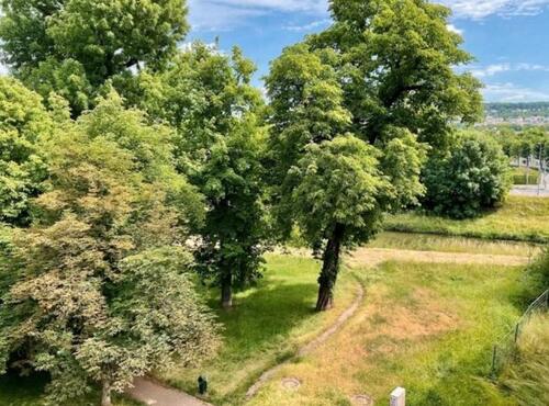 Foto - 5 Zimmer Etagenwohnung in Gera