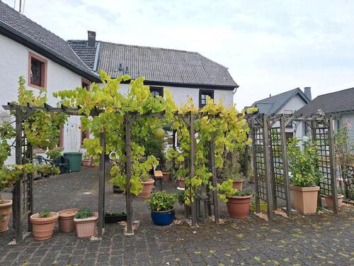 Foto - Einfamilienhaus zum Kaufen in Üxheim