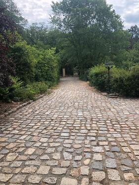 Foto - Möbliertes Appartement in sehr ruhiger Wohnanlage zu vermieten