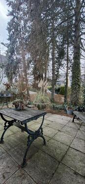 Foto - 2 Zimmer Erdgeschoßwohnung zur Miete in Brilon