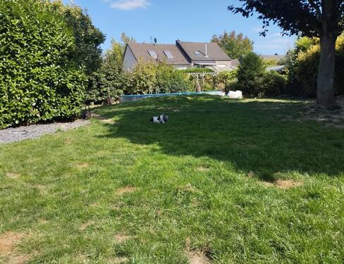 Foto - Doppelhaushälfte in Mönchengladbach zur Miete