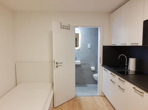 Foto - 1 Zimmer Etagenwohnung zur Miete in Leutenbach