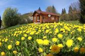 Foto - Ferienhaus - 70,00 EUR Kaltmiete,
