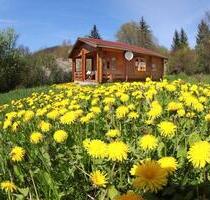 Ferienhaus - 70,00 EUR Kaltmiete, in Thale (PLZ: 06502)