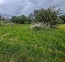 400 qm Garten zur Pacht - 100,00 EUR Kaltmiete, ca.  0,00 m² in Limeshain (PLZ: 63694)