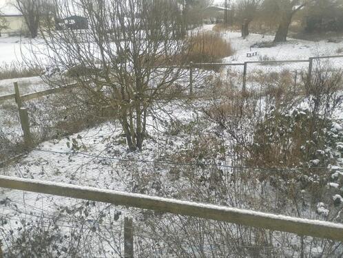 Foto - Etagenwohnung in Strasburg (Uckermark) zur Miete