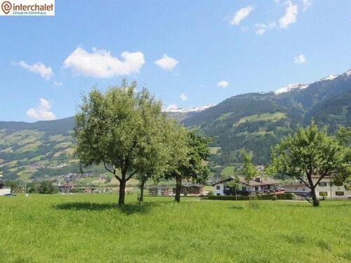 Foto - andere in Erlangen