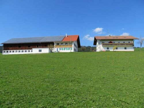 Foto - Ferienwohnung in Weitnau Allgäu zu vermieten