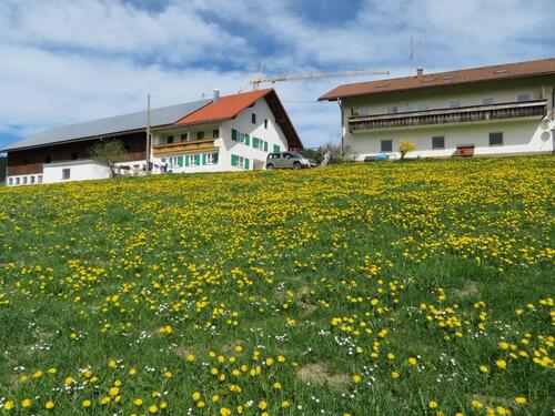 Foto - andere in Weitnau