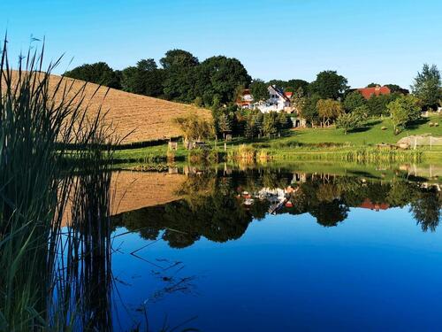 Foto - Ferienwohnung mit Angelteich Ostsee Forellen Karpfen Angeln Aal