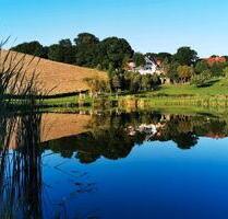 Ferienwohnung mit Angelteich Ostsee Forellen Karpfen Angeln Aal - Dortmund Hombruch