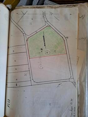 Foto - Grünland Wiese – 0,6655 ha – zur Pacht (250 €Jahr)