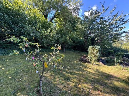 Foto - Grundst&uuml;ck in Zwickau