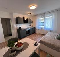 01.09! Einzug möglich,voll möblierte 1-Zimmer-Wohnung in Dreieich