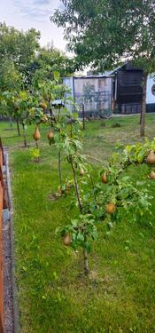 Foto - Grundst&uuml;ck in Halle (Saale) zur Miete
