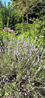 Foto - Hochparterre in Schwielowsee zur Miete