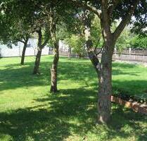 ruhig gelegene 3-Zimmer Wohnung (OG) in Vienenburg OT Wiedelah - Goslar Immenrode