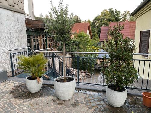 Foto - Einfamilienhaus in Homburg