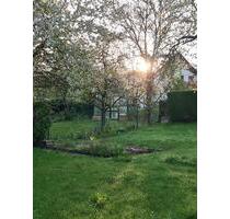 2,5 Zimmer - 700,00 EUR Kaltmiete, in Amberg (PLZ: 92224)