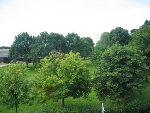 Foto - Etagenwohnung zur Miete in Vordorf